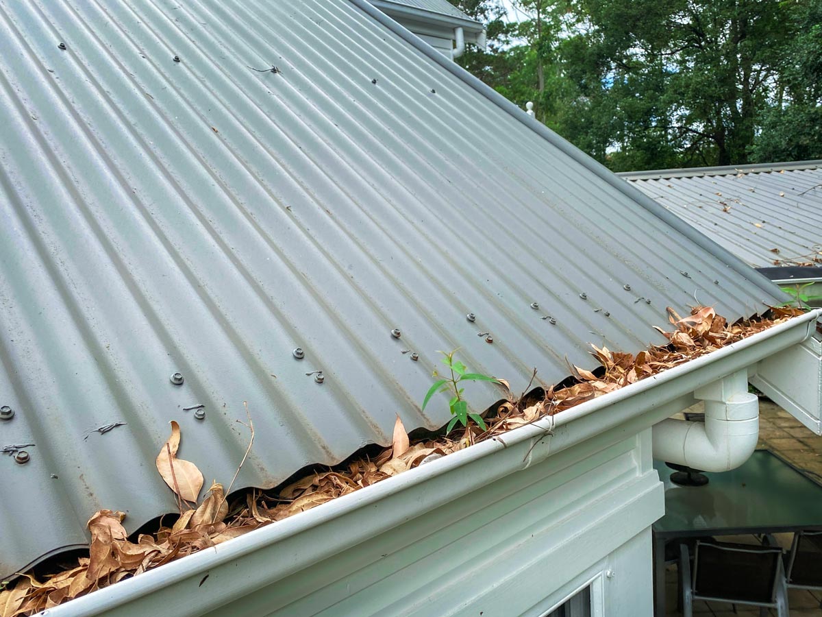 Gutter Cleaning Central Coast